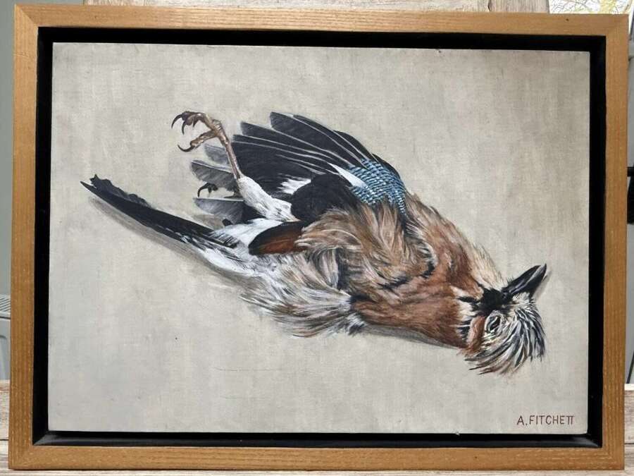 Oil Painting of a Dead Jay