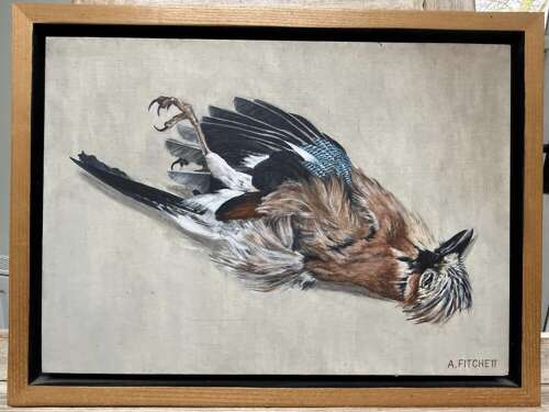 Oil Painting of a Dead Jay