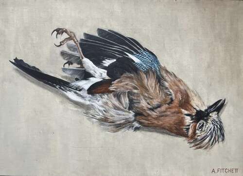 Oil Painting of a Dead Jay