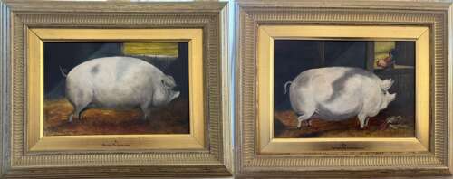 Pigs in a Barn — A Pair of Oils by Pieter Potashnick